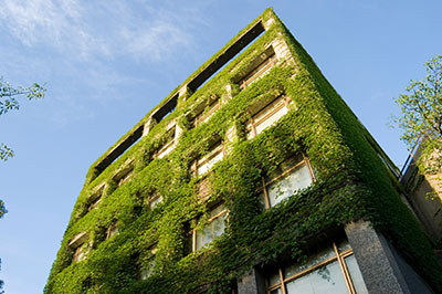Economic and Environmental Evaluation Model for Selecting the Optimum Design of Green Roof Systems in Elementary Schools