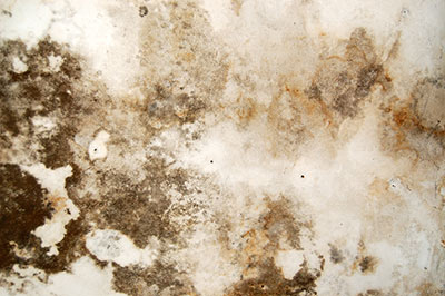 Mould Remediation in Indoor Environments – Review of Guidelines and Evidence